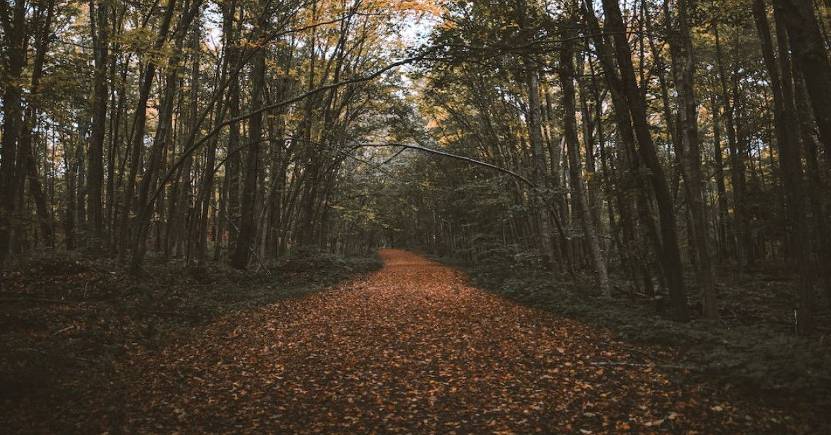 Experience the Divine Difference at Best Blessed Company, Grand Blanc, MI