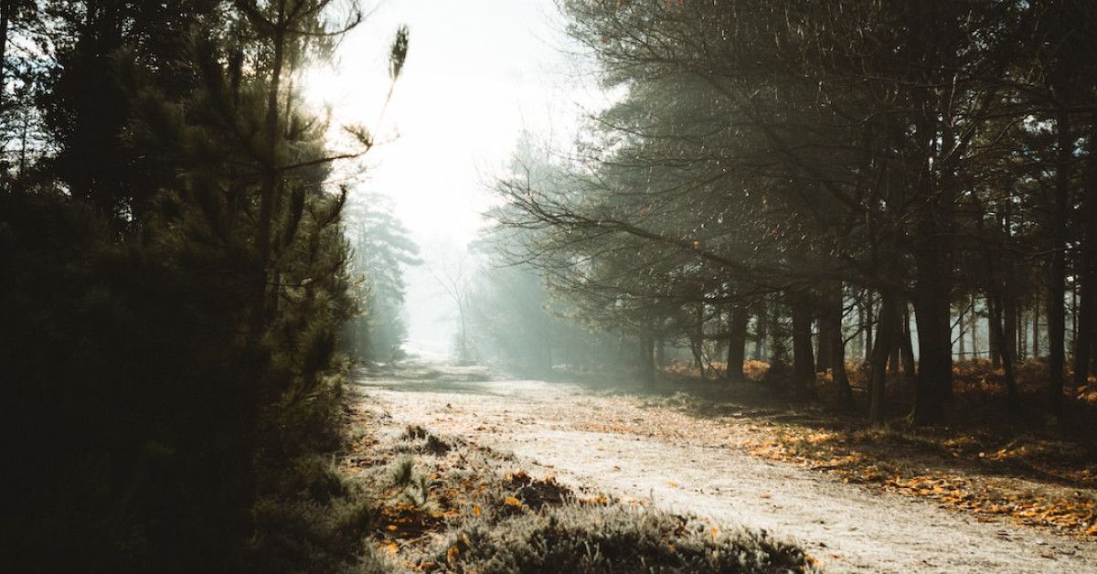 Blessed Tuesday morning: embrace joy and abundance of a new day.