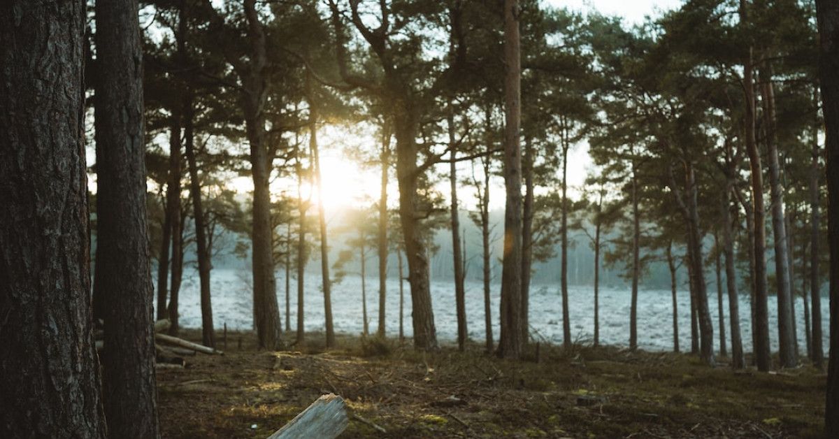 Beautiful Sunday morning, filled with blessings and joy.