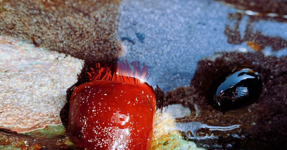 Irish heritage blessings collection: Embrace tradition