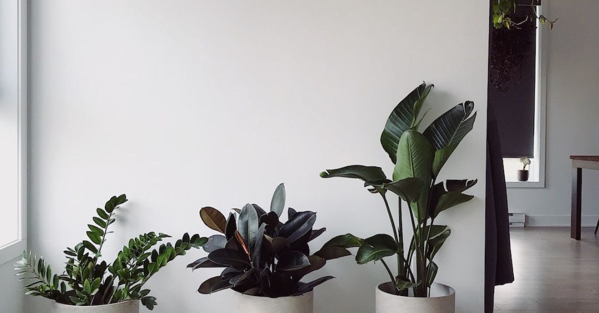 Jewish home blessing, experience sacred tradition, discover the beauty.