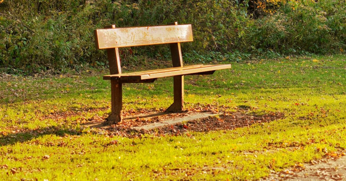 Thursday blessings: Embrace grace and abundance for a fulfilling day.