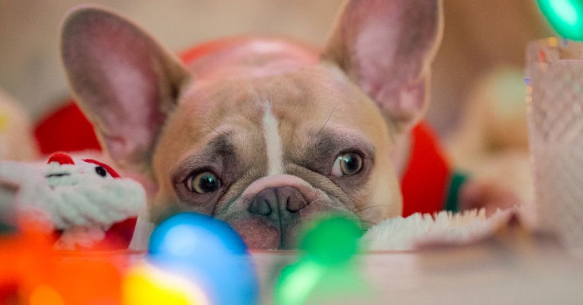 Transforming Lives in Cleburne, Texas - Operation Blessing Impact