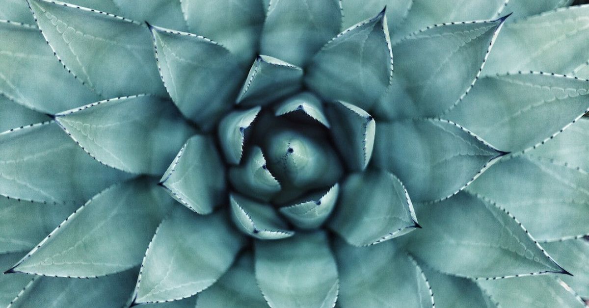 Exploring behavioral health perspectives for mental wellness and blessings.