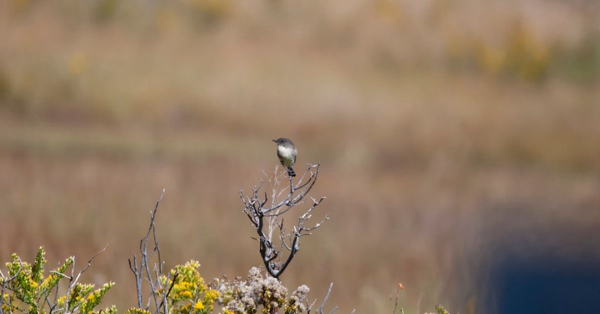 Blessings at your doorstep: Discover a free local pantry